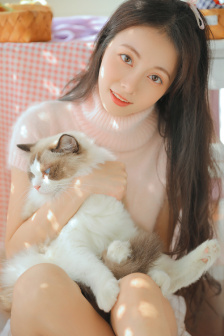 全球黑帮花名册
